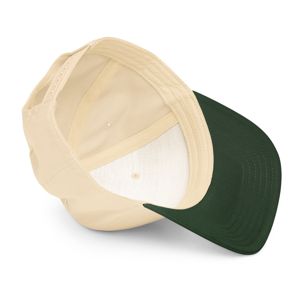 Augmented Intelligence Imagination I 5 panel cap