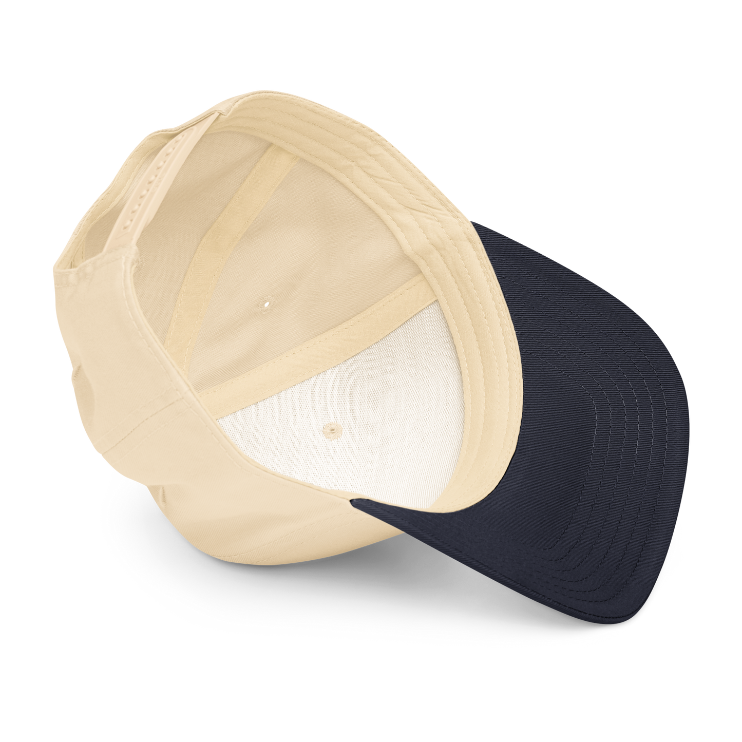 Artistic Imagination I 5 panel cap