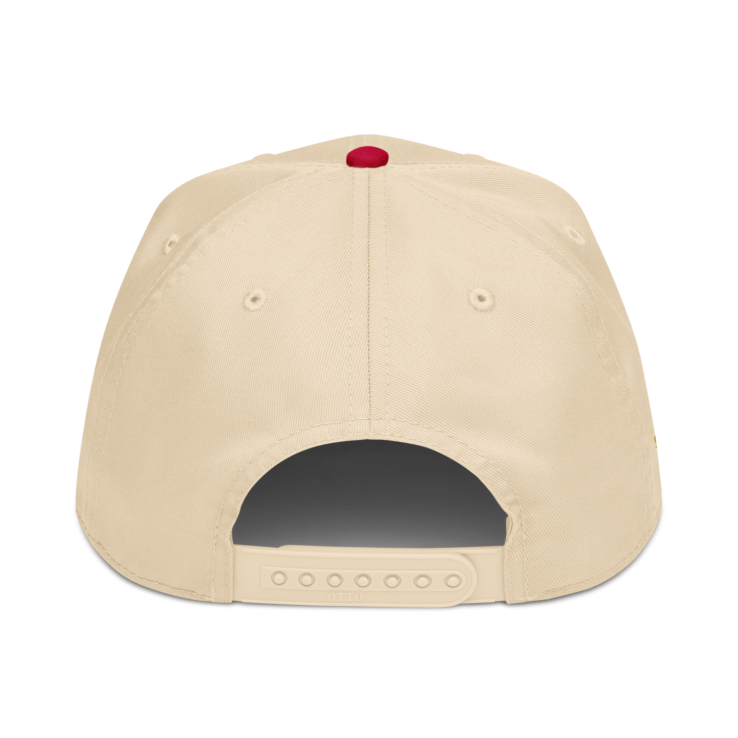 Augmented Intelligence cap
