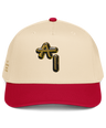 Augmented Intelligence cap