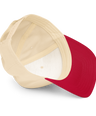 Augmented Intelligence Imagination I 5 panel cap