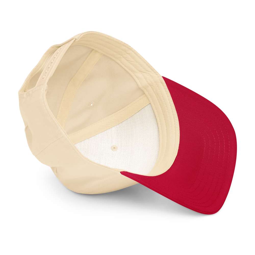 Augmented Intelligence Imagination I 5 panel cap