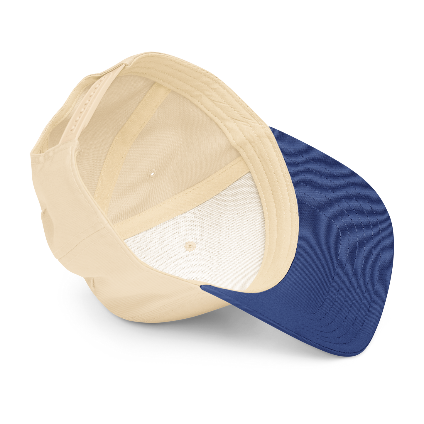 Artistic Imagination I 5 panel cap