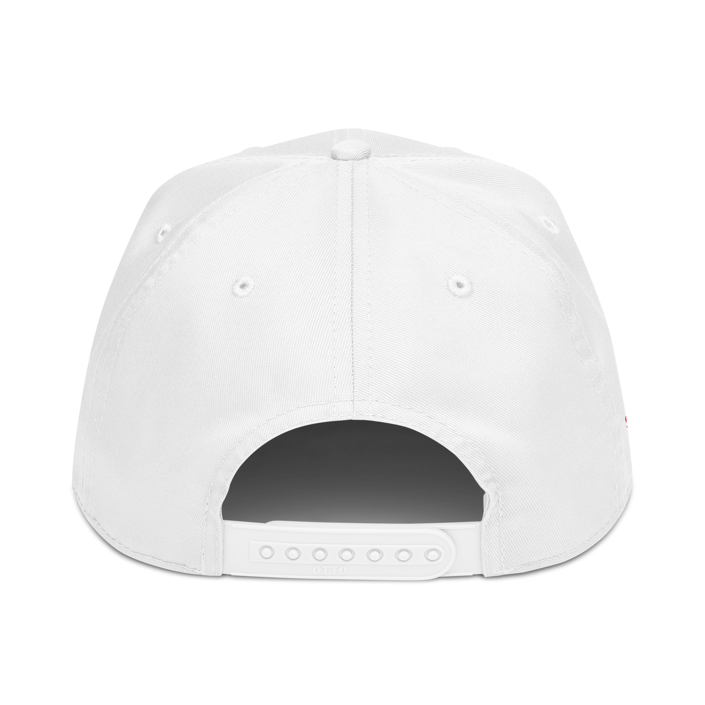 Artistic Imagination II cap