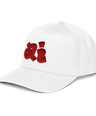 Artistic Imagination II cap