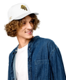Artistic Imagination I 5 panel cap