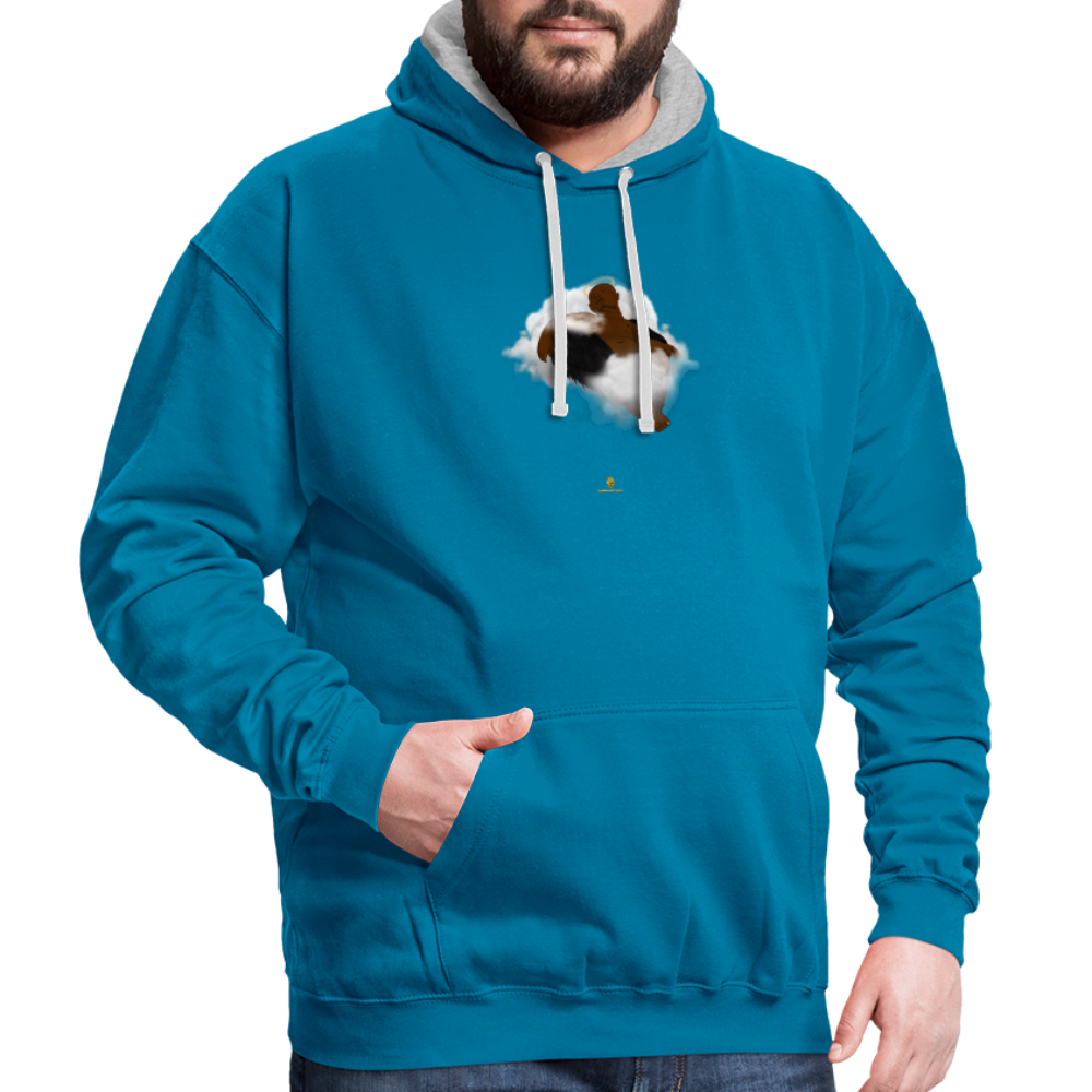 Freedom of Life Unisex Hoodie- Sweat à Capuche Liberté de vie - Graphartixry - bleu paon/gris chiné